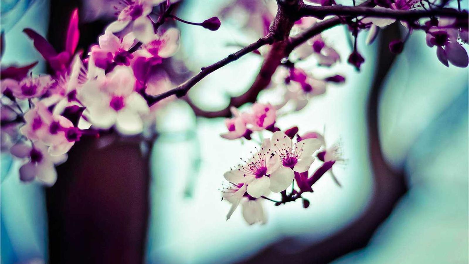 Neujahrsempfang 2026