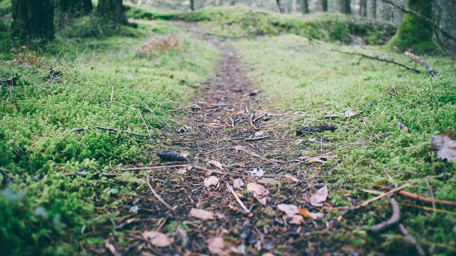 Gemeinsamer Wandertag: Frühlingserwachen